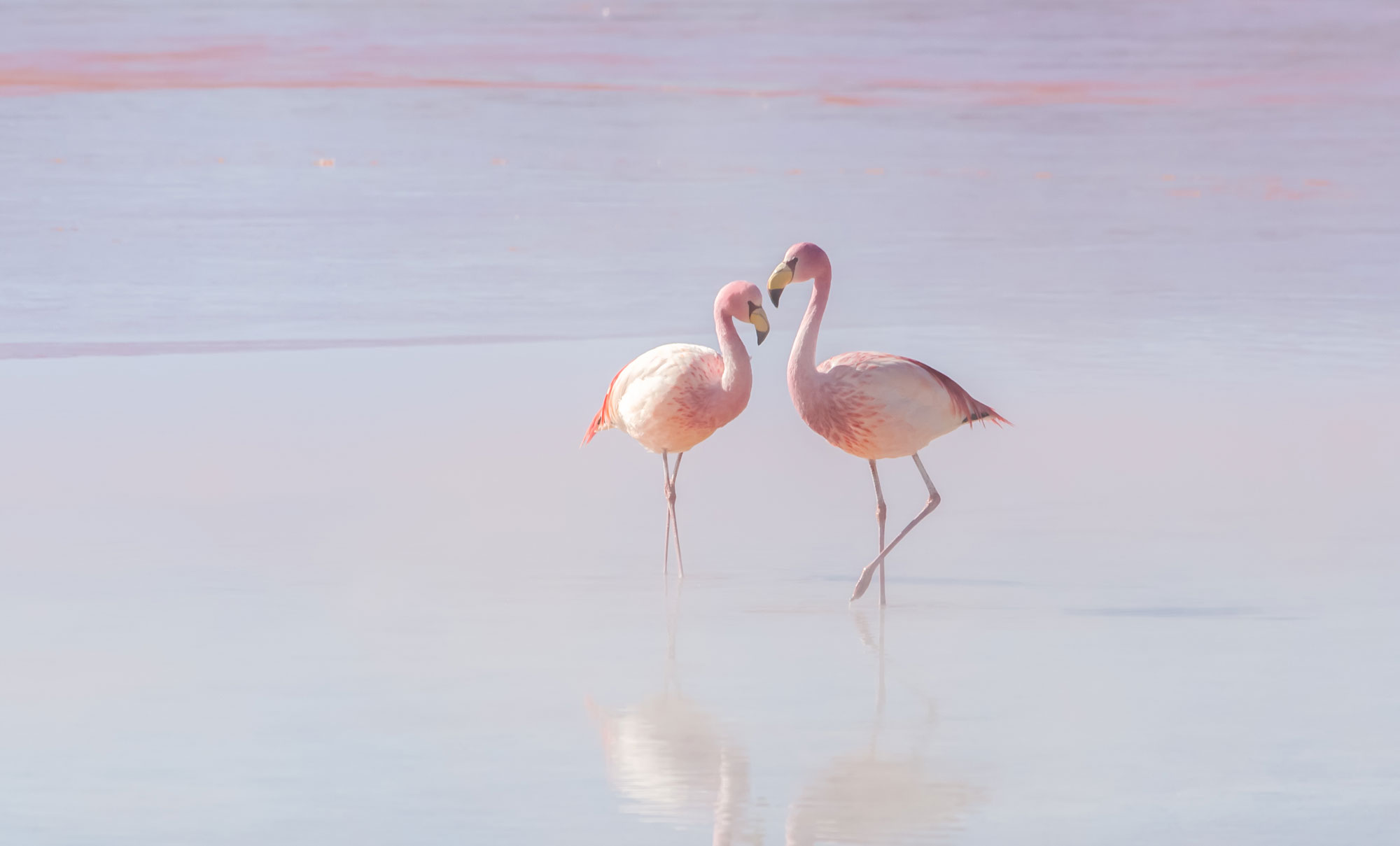 S’évader en amoureux by Ilanda